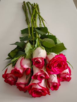 Close-up of a bouquet of pink and white roses on a white surface, showcasing elegant floral beauty.