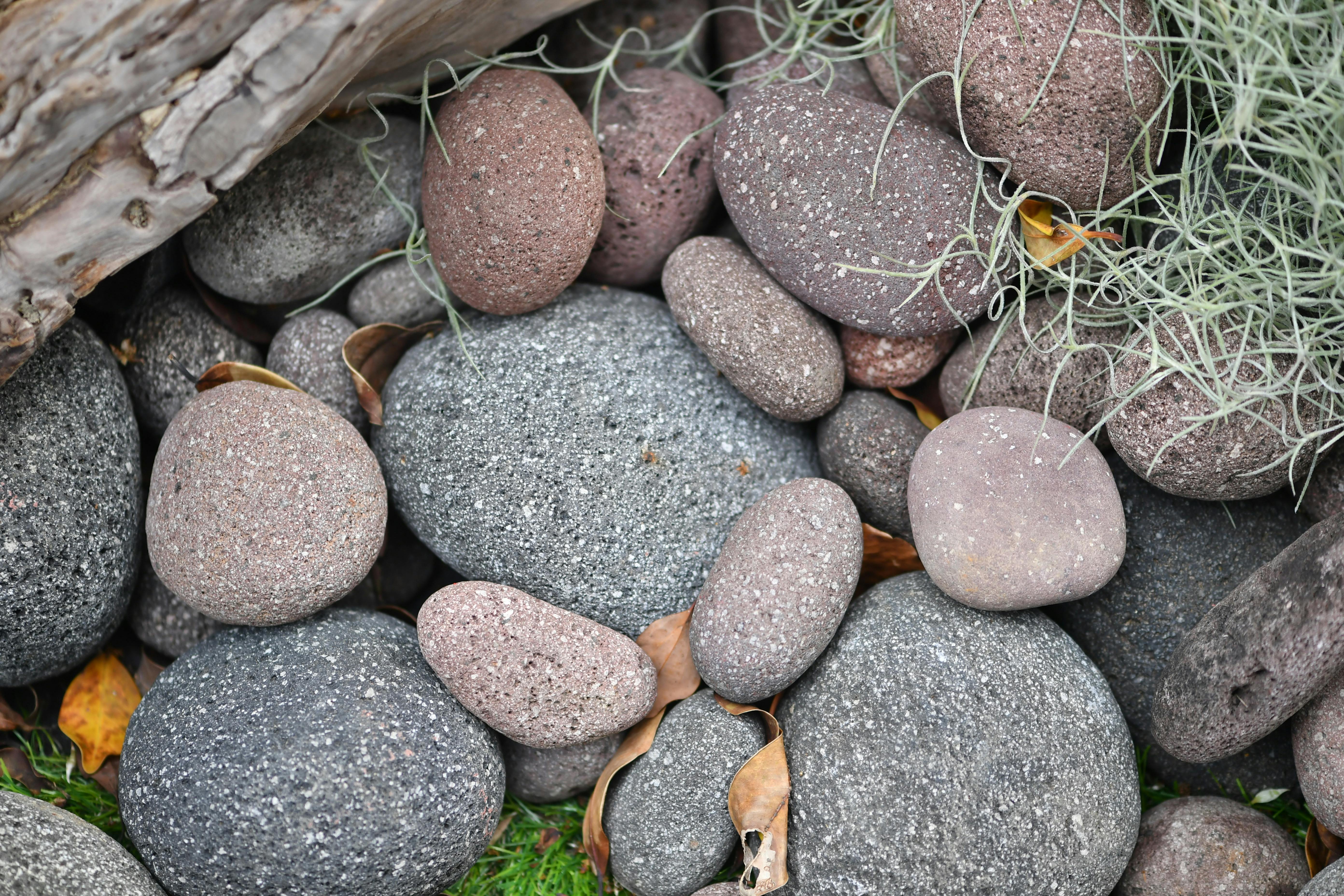 Gratis Koleksi kerikil halus dengan kayu apung dan rumput, menampilkan tekstur alami. Foto Stok