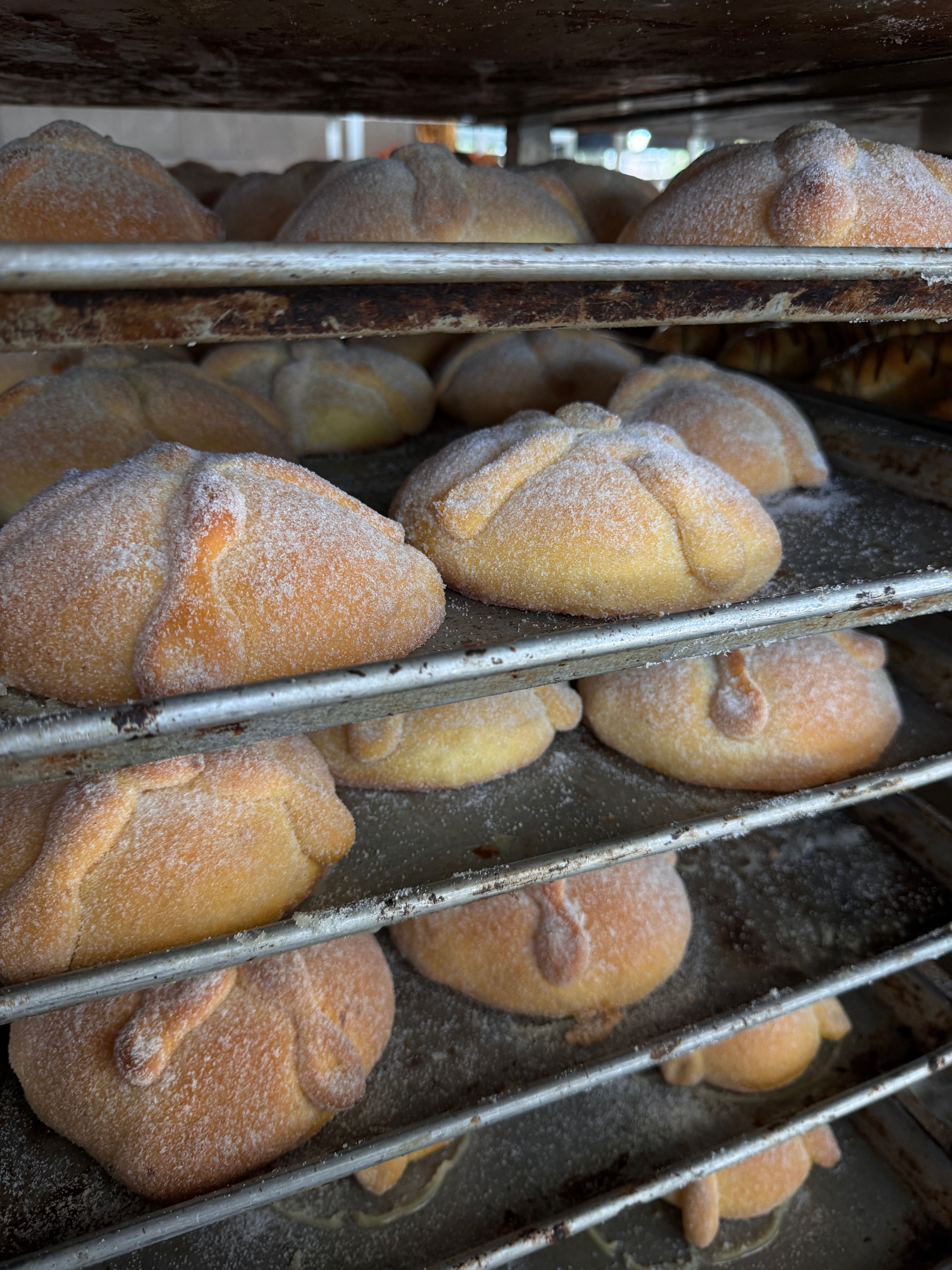 Rows of freshly baked Pan de Muerto on cooling racks, capturing the essence of Mexican tradition.