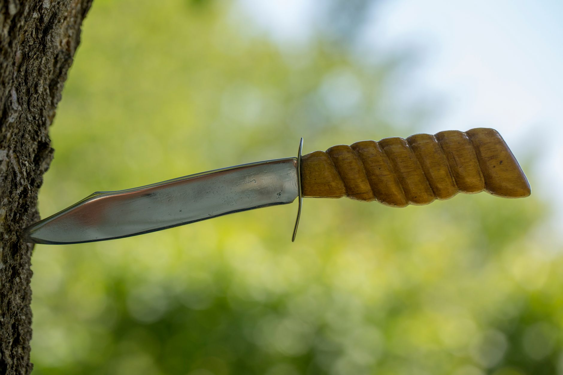 Close-up of a knife with wooden handle embedded in a tree trunk in a sunny outdoor setting.