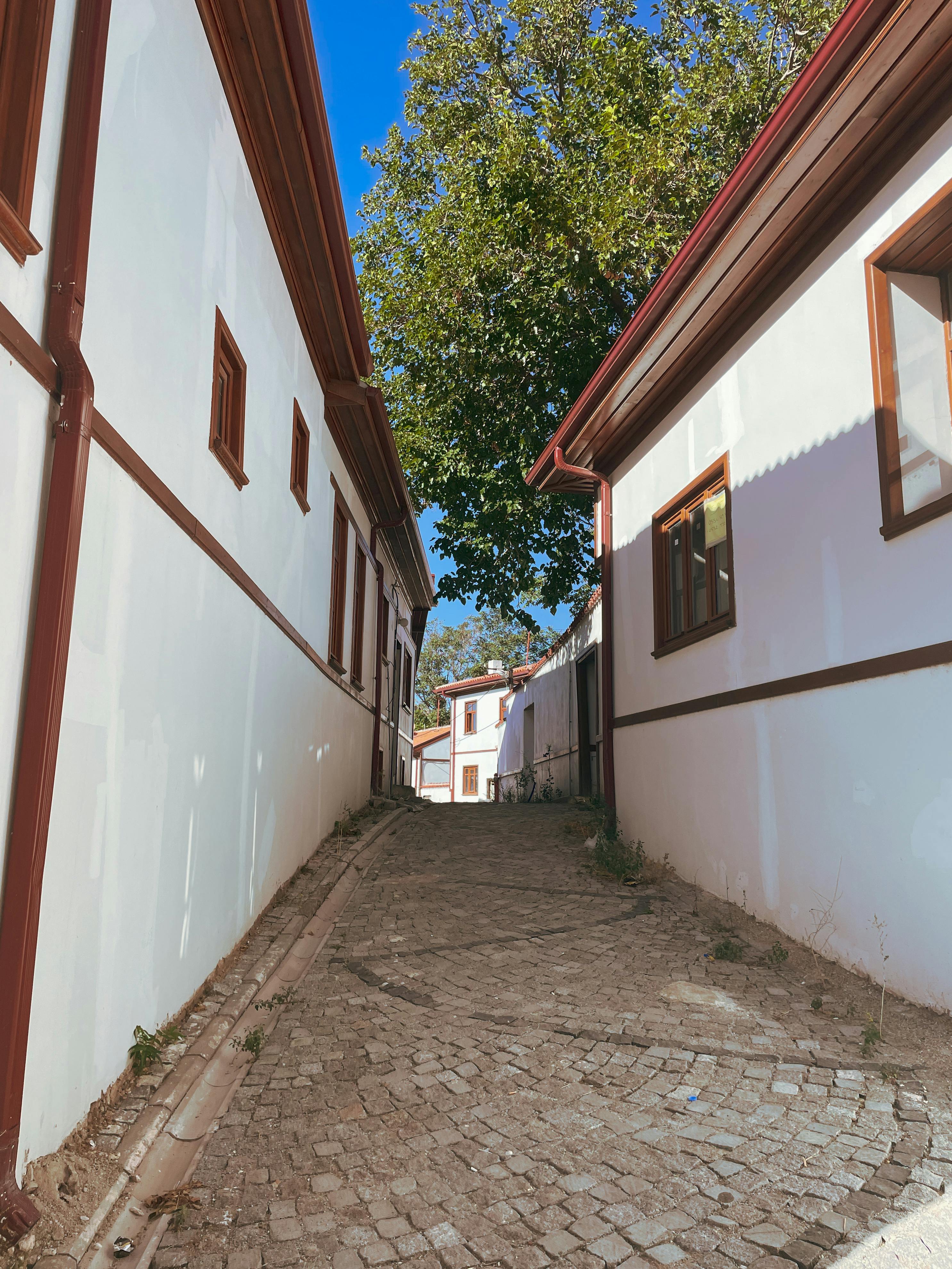 Gratis Smal brosteinsgate flankert av tradisjonelle hvite historiske hus under en klar blå himmel. Arkivbilde