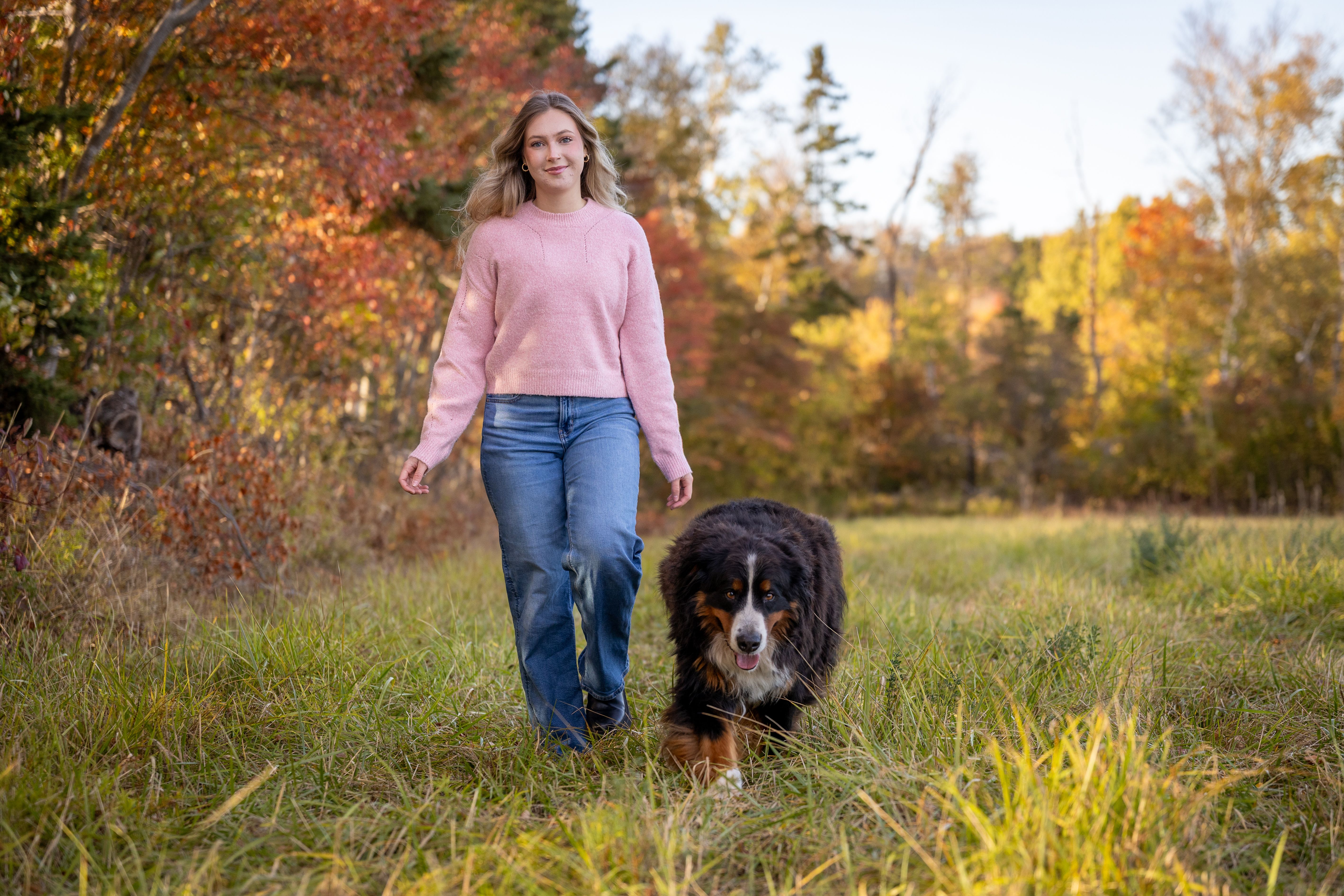 Andee Gravitt to lead pet insurance sales for Nationwide — Photo by Sharon  Snider on Pexels
