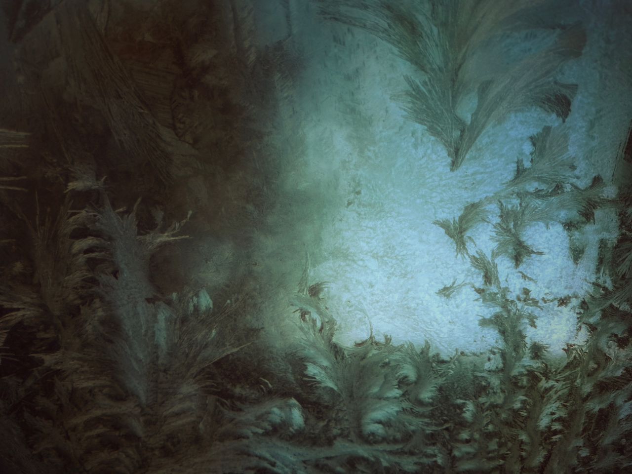 close up of intricate ice patterns on glass creating a natural abstrac