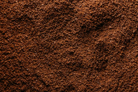 Detailed close-up image of freshly ground coffee showcasing rich brown texture.