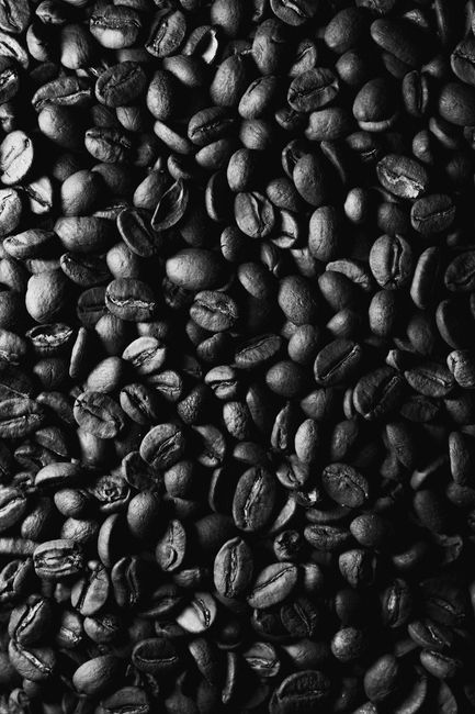 Expert Picks and Insider Recommendations for Coffee Connoisseurs