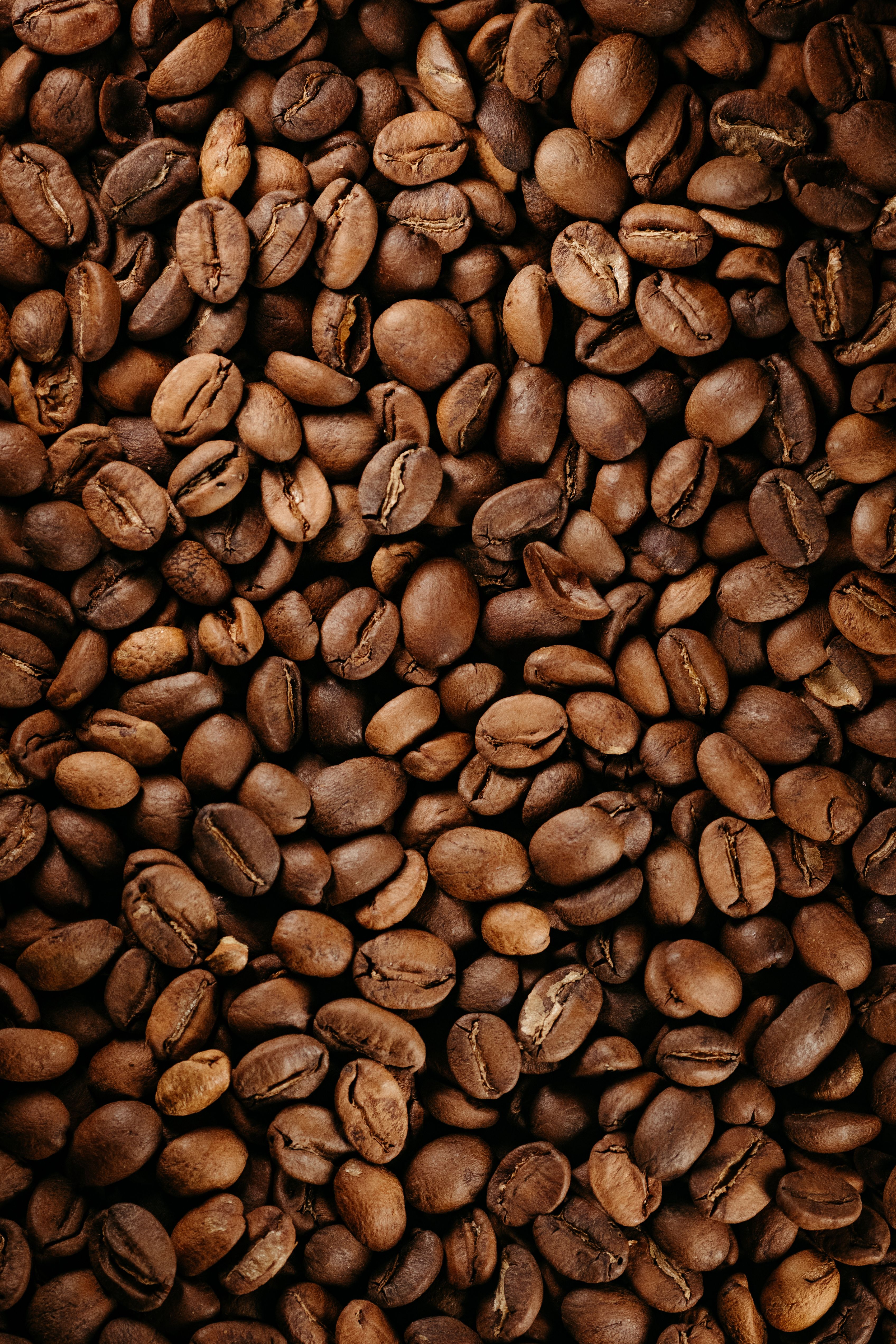 Close-up of brown coffee beans showcasing rich texture, perfect for beverage themes.