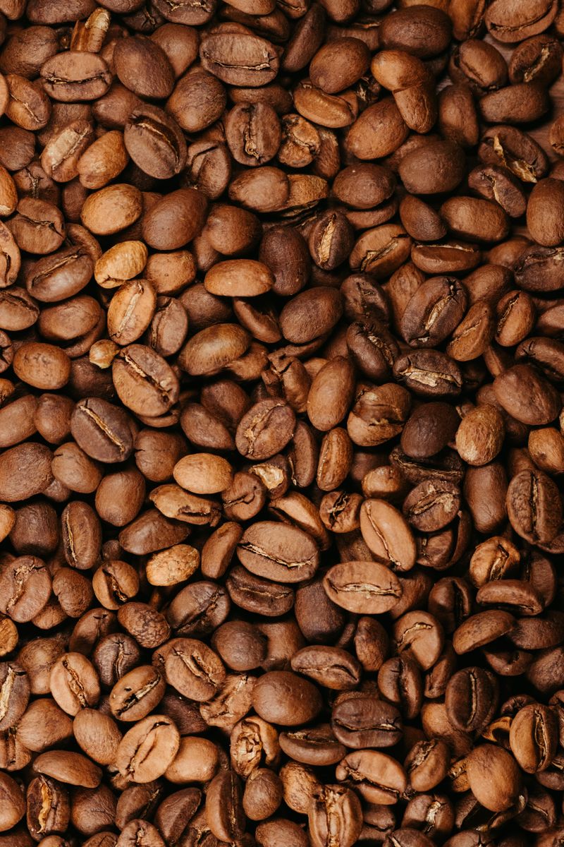 Coffee beans roasted close up
