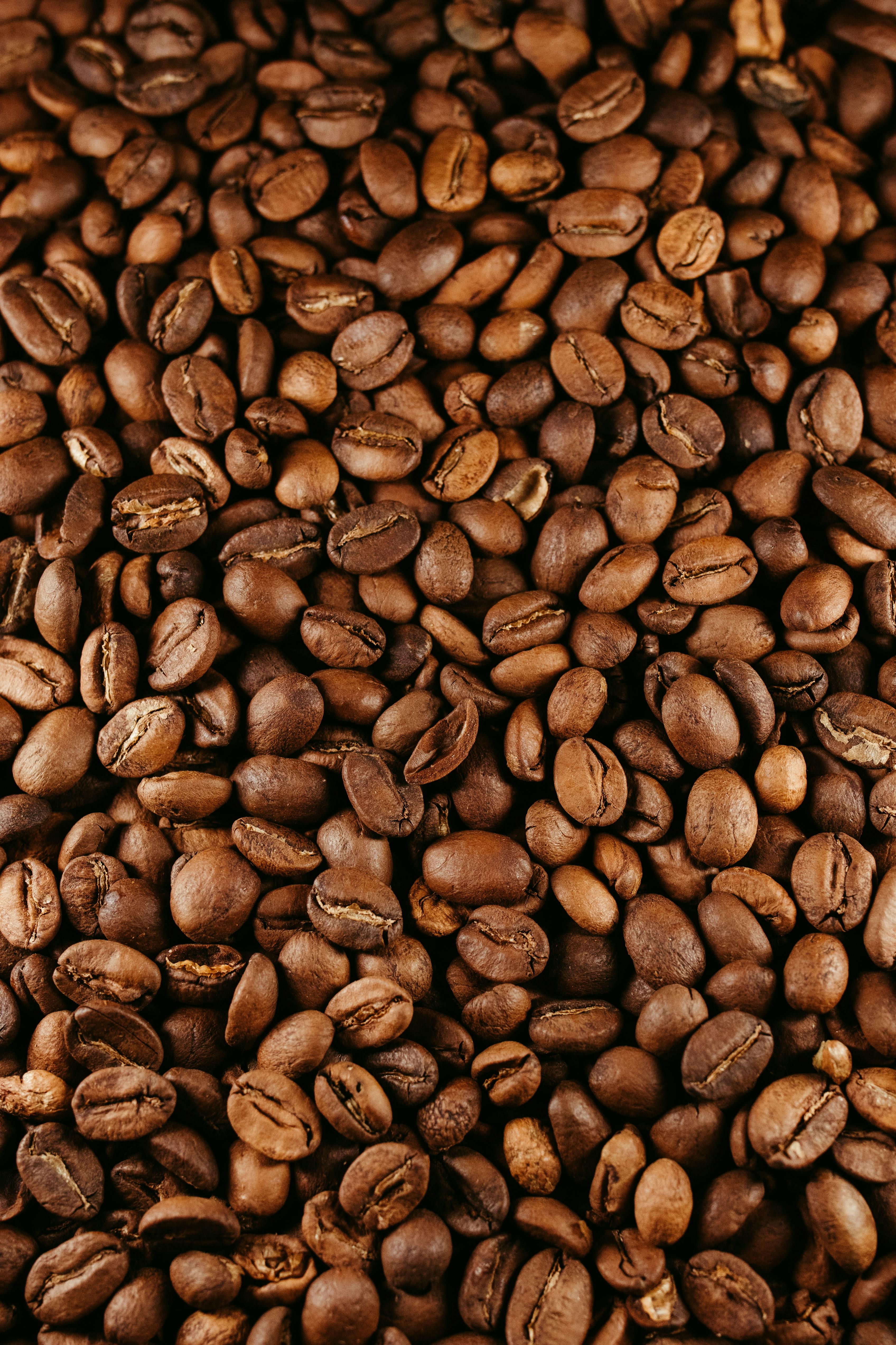 бесплатная Крупный план насыщенно обжаренных кофейных зерен, идеально подходящий для кафе или кулинарных тематик. Стоковое фото