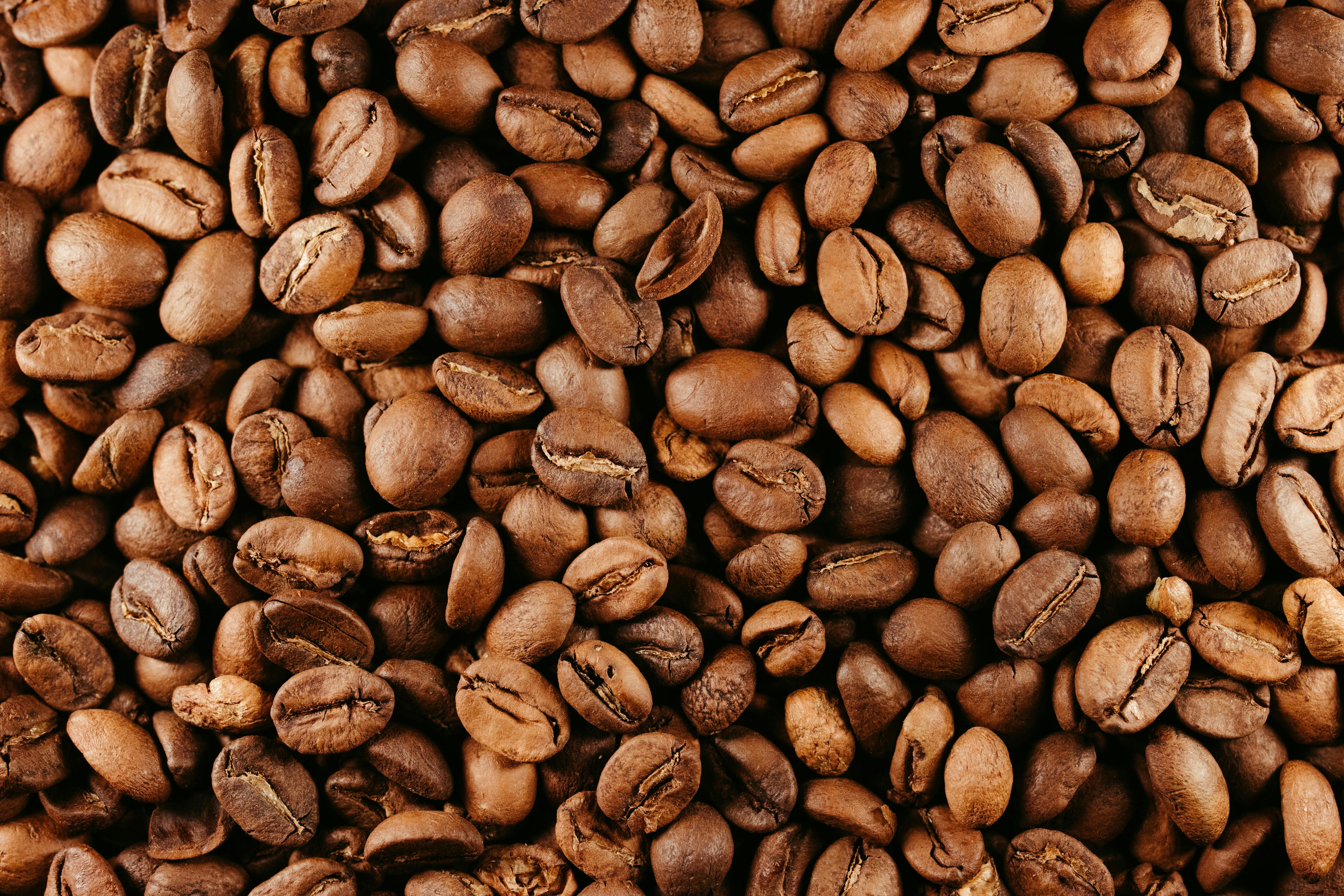 無料 豊かな茶色の質感と香りが際立つ、焙煎コーヒー豆の上からの眺め。 写真素材