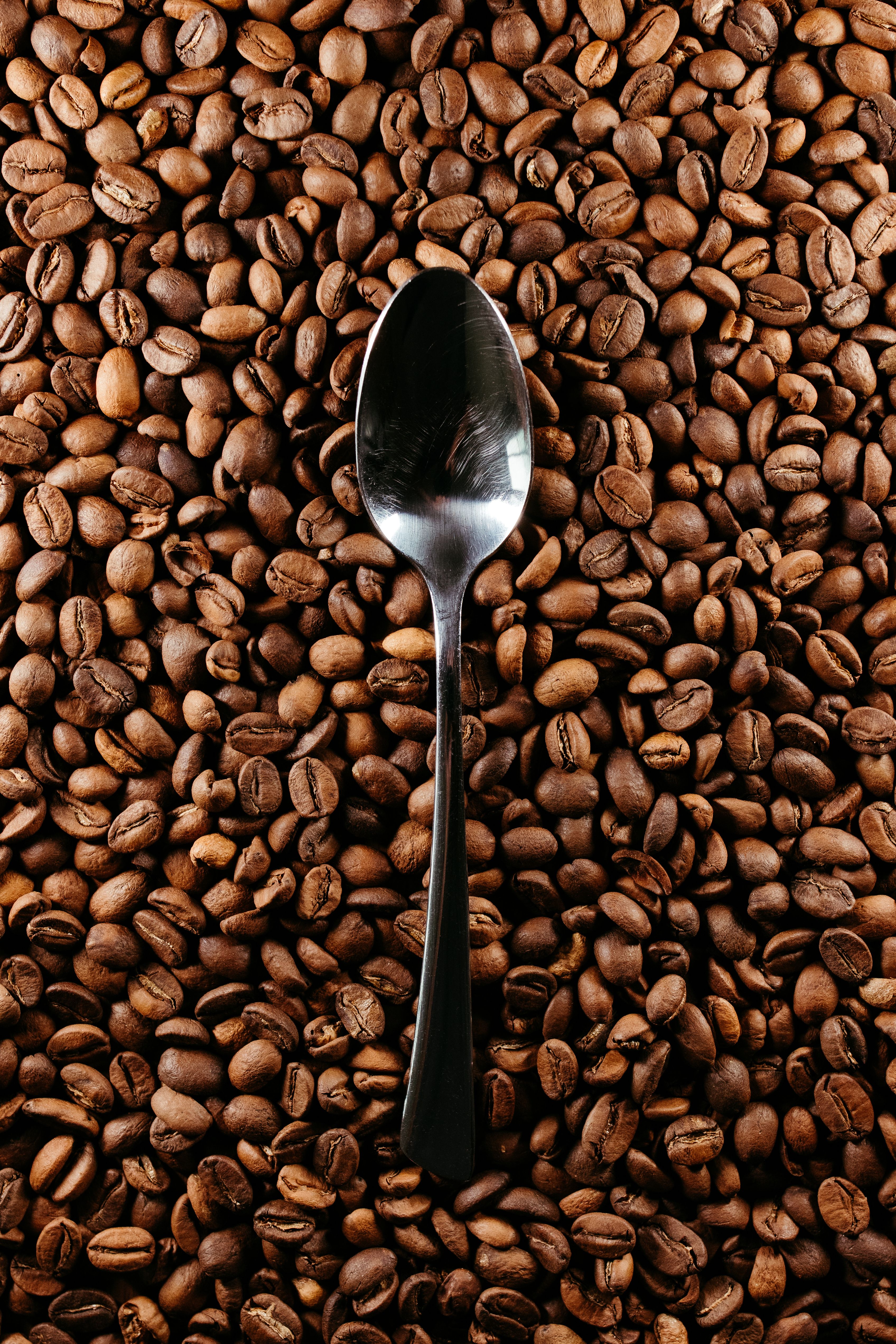 Elegant spoon placed on a surface covered with roasted coffee beans, perfect for coffee themes.