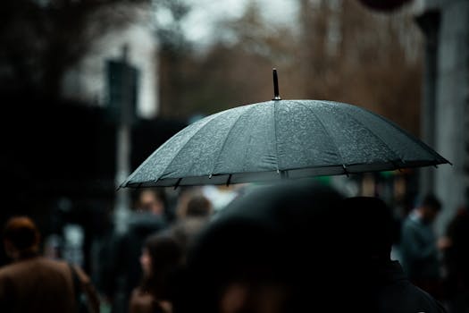 Free stock photo of atmosphere, bokeh, cinematic