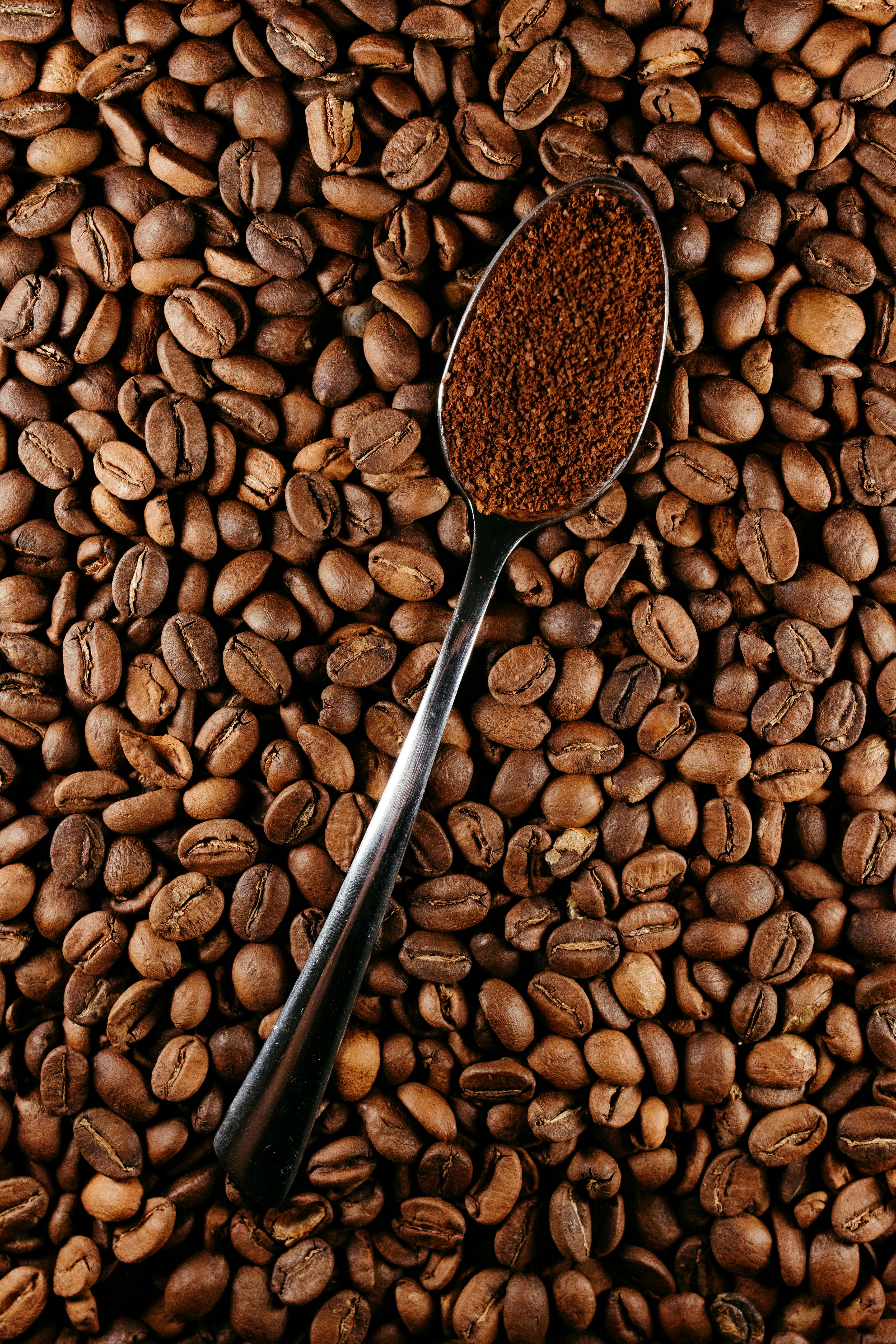 Roasted Arabica beans with ground coffee in a spoon