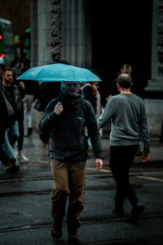 Free stock photo of autumn vibes, candid moment, city commute