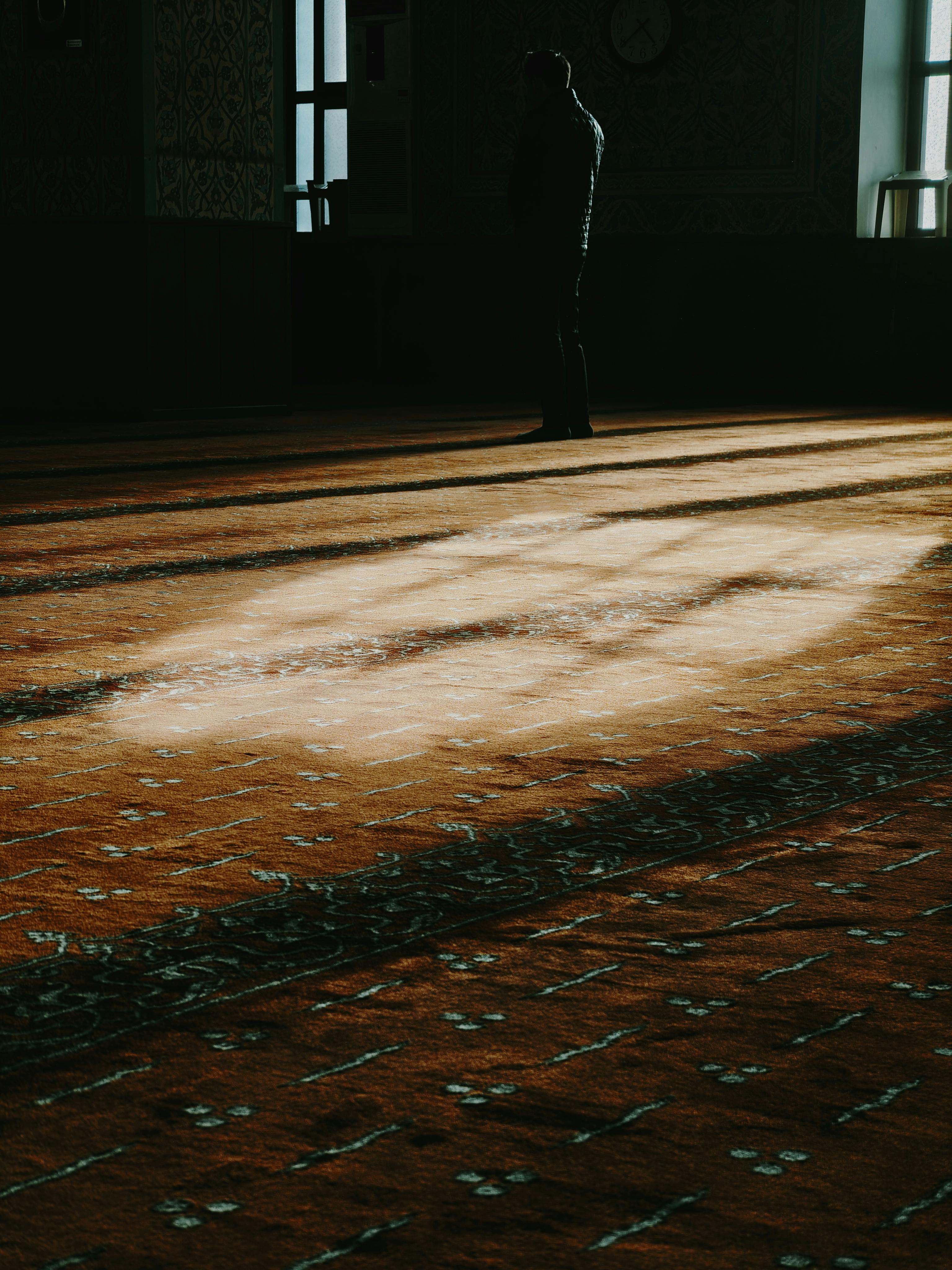 Ücretsiz Güneş ışığıyla aydınlanmış, işlemeli halı desenleriyle bezeli, huzurlu bir iç mekanda yalnız bir figür duruyor. Stok Fotoğraflar