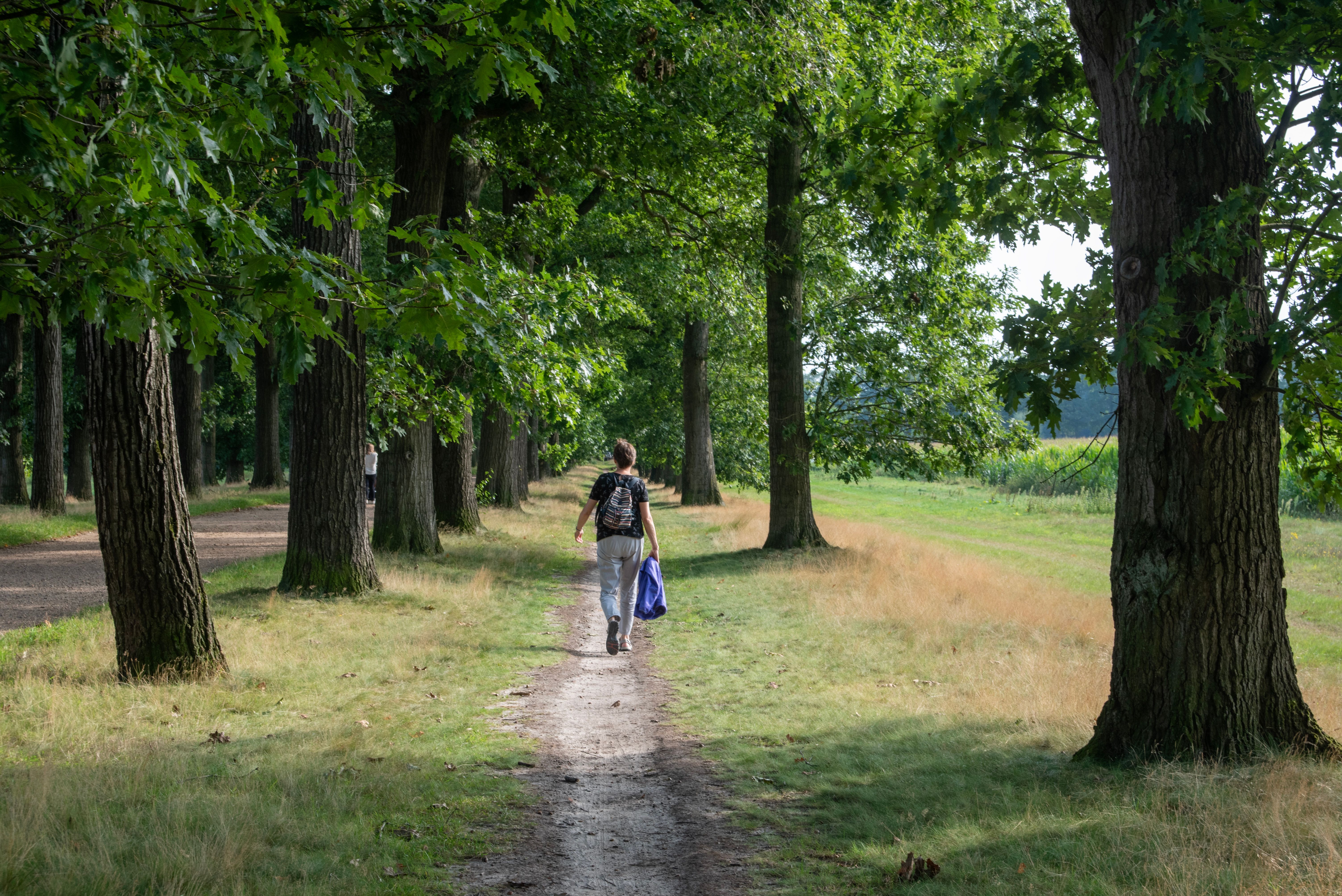 Forest bathing: why time in nature heals more than you think
