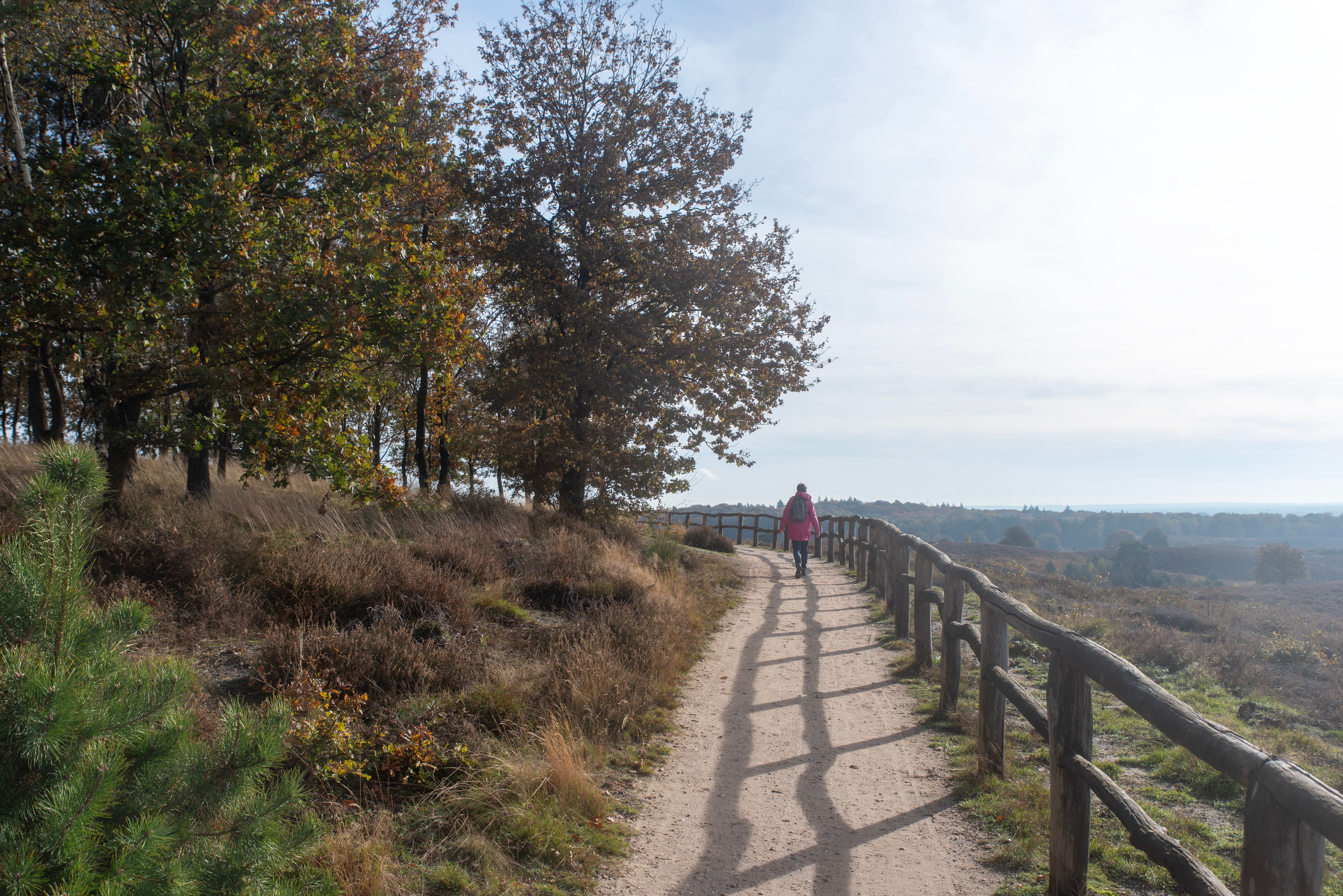 206 Acres of Blackland Prairie Awaits: Sachse Nature Preserve as Summer Fades