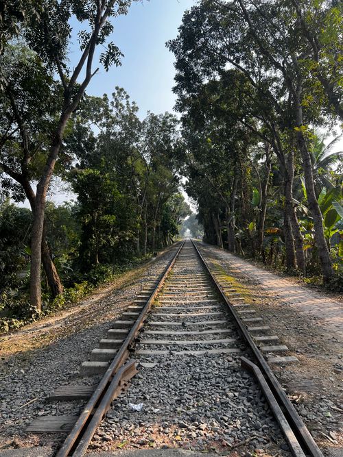 Free Railway tracks in Bangladesh surrounded by lush green trees, creating a serene landscape. Stock Photo