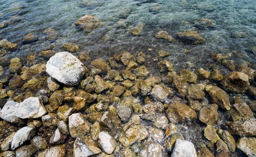 Free Close-up view of varied rocks beneath clear, shallow water for nature or travel themes. Stock Photo