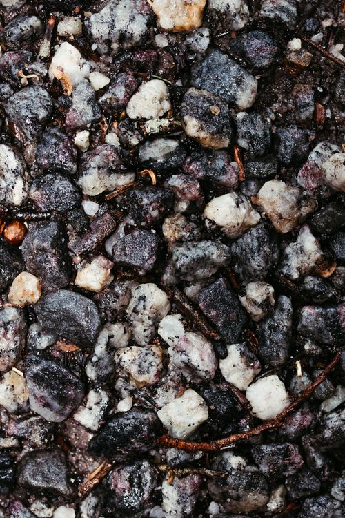 Free Detailed macro shot of a wet stone texture showing varied rocks and minerals. Stock Photo
