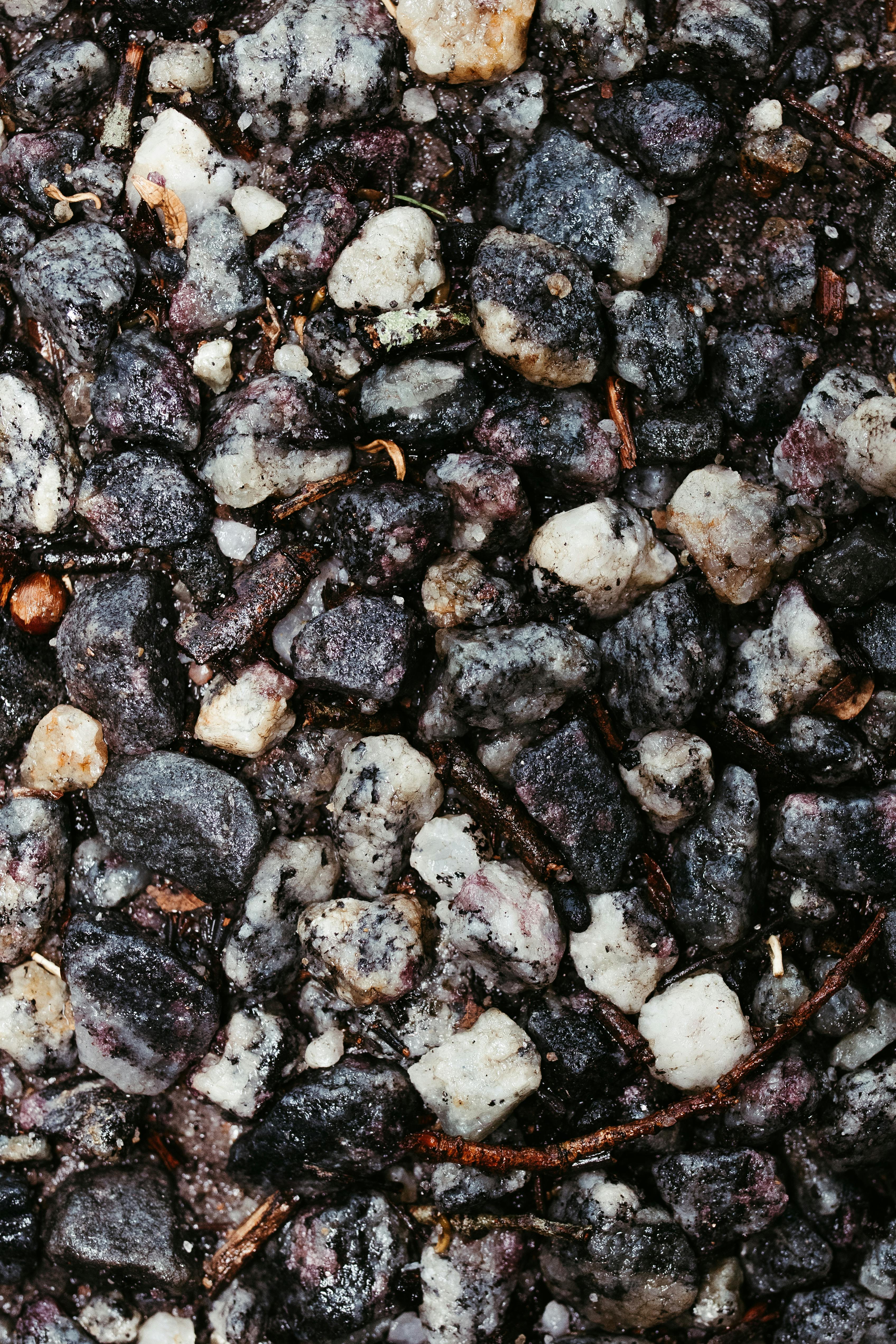 Ücretsiz Islak taş dokusunun, çeşitli kaya ve mineralleri gösteren detaylı makro çekimi. Stok Fotoğraflar