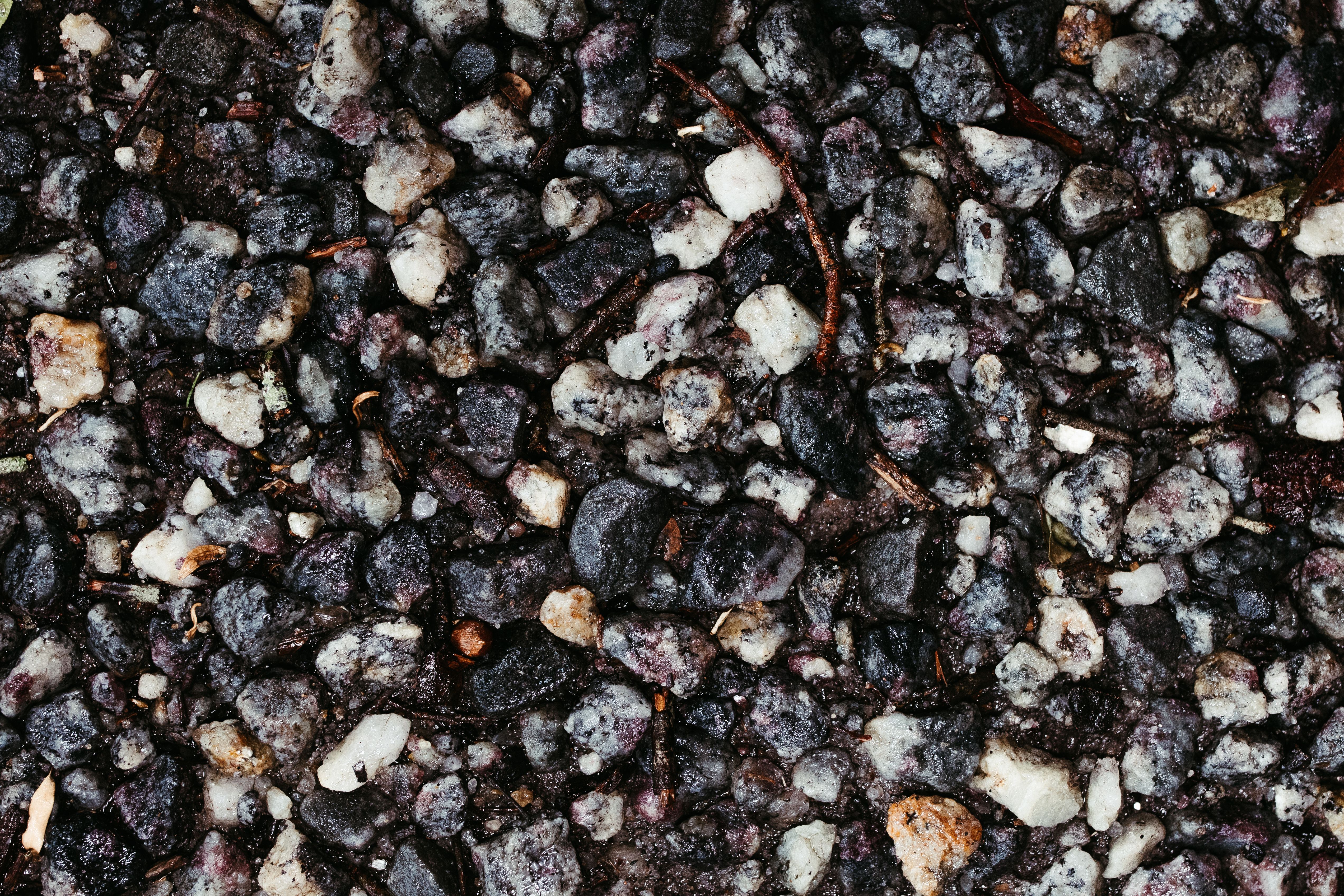 Detailed view of a textured pebbled surface, showcasing natural colors and rocky textures.