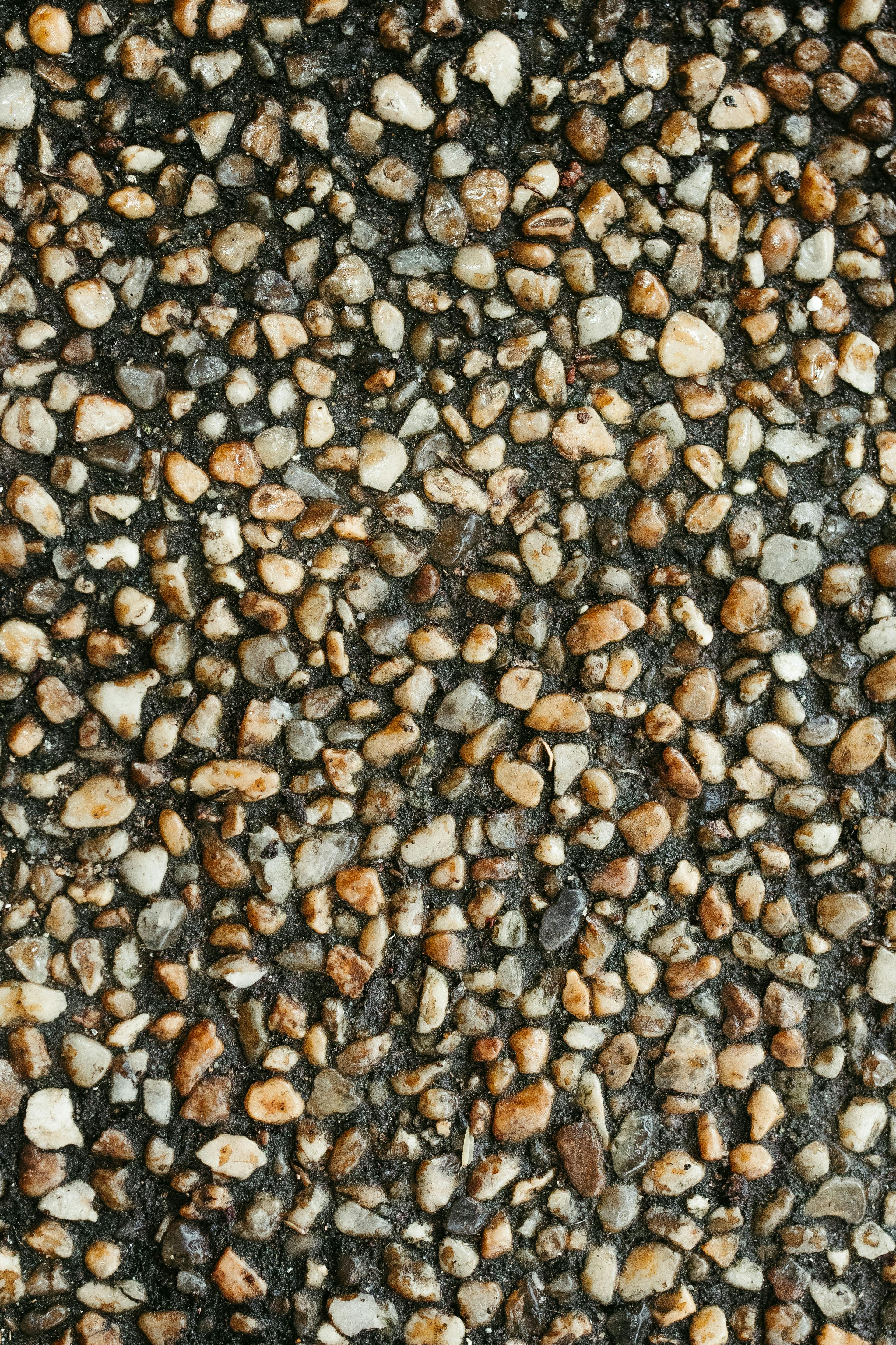 Gratis Detaljert nærbilde av en teksturert steinoverflate, ideell for bakgrunn og designbruk. Arkivbilde