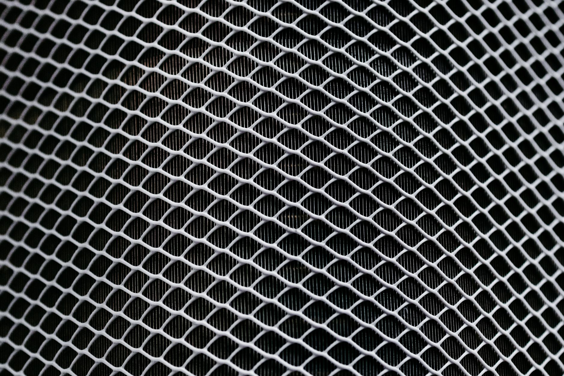 Du cancer au tissu, la médecine régénérative passe à l’échelle avec LATTICE MEDICAL