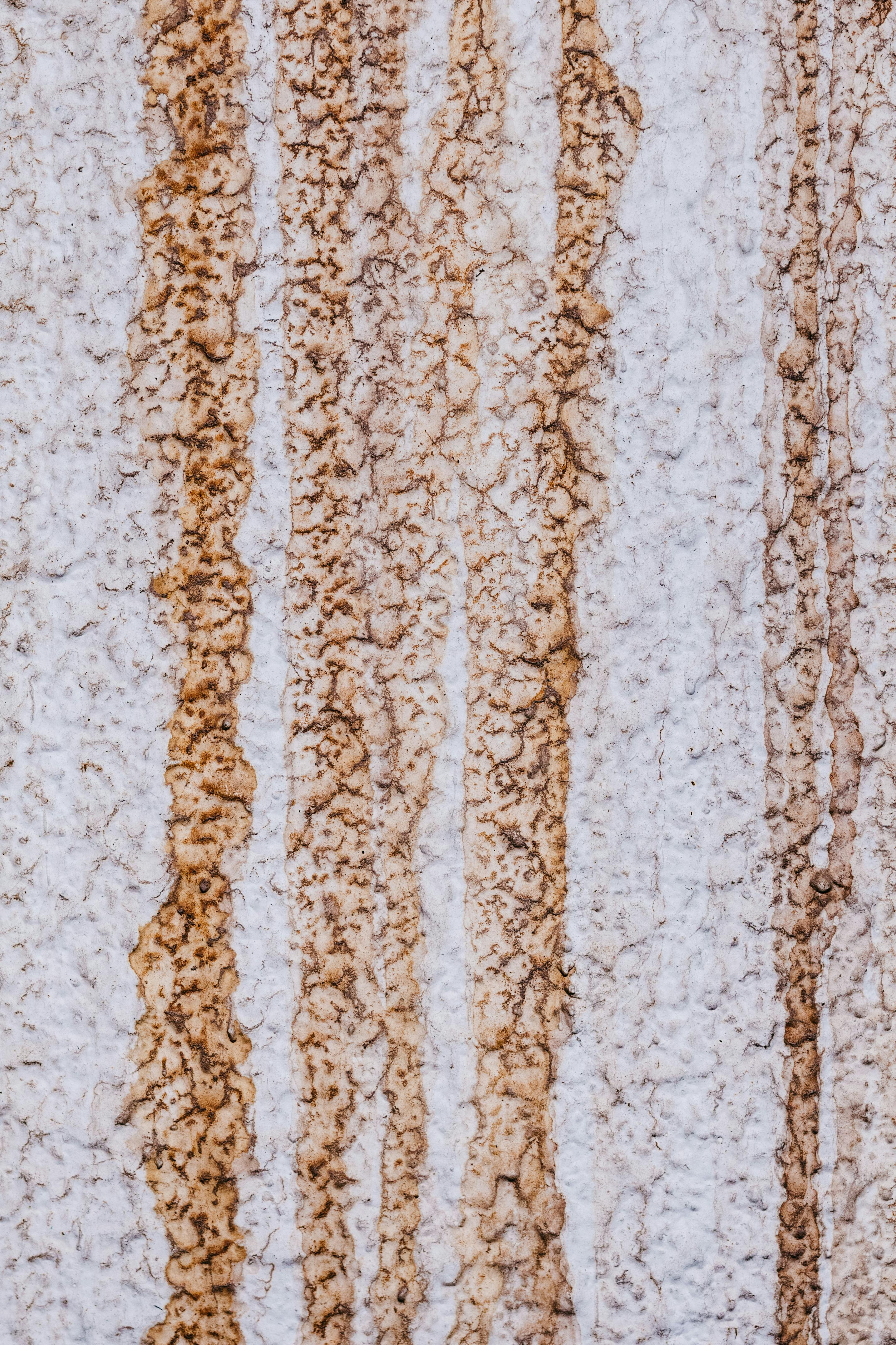 De franc Imatge detallada que captura patrons d'òxid sobre una superfície de paret blanca amb textura. Foto d'estoc