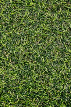 Close-up of lush green grass showcasing a detailed natural texture.