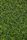grass texture