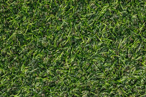 Free Top view of dense green grass, showcasing natural texture and vibrant color. Stock Photo