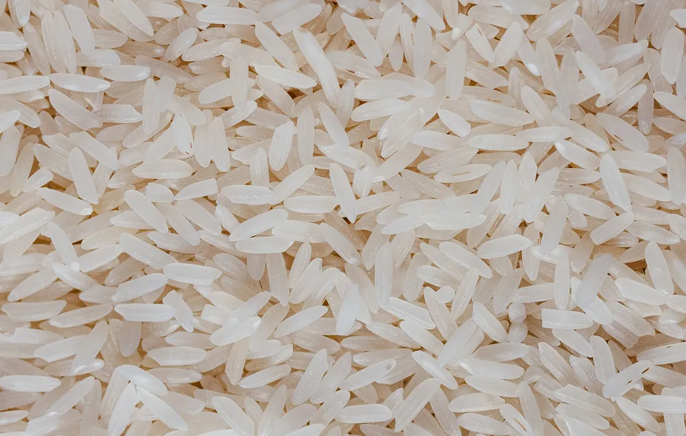 Rice & curry