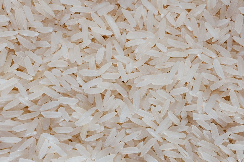 Sona Masoori Rice
