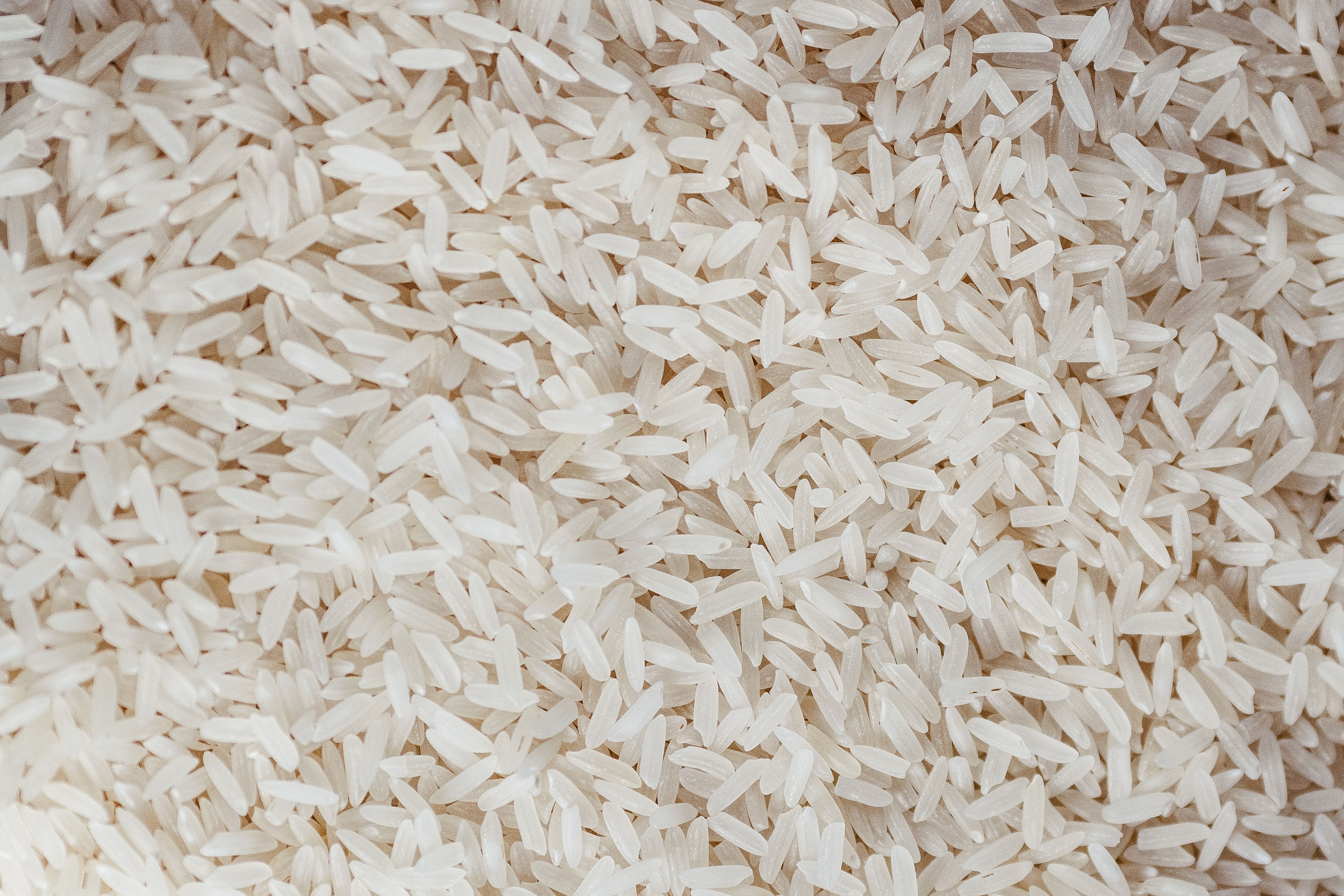 Close-up of Uncooked White Rice Grains · Free Stock Photo