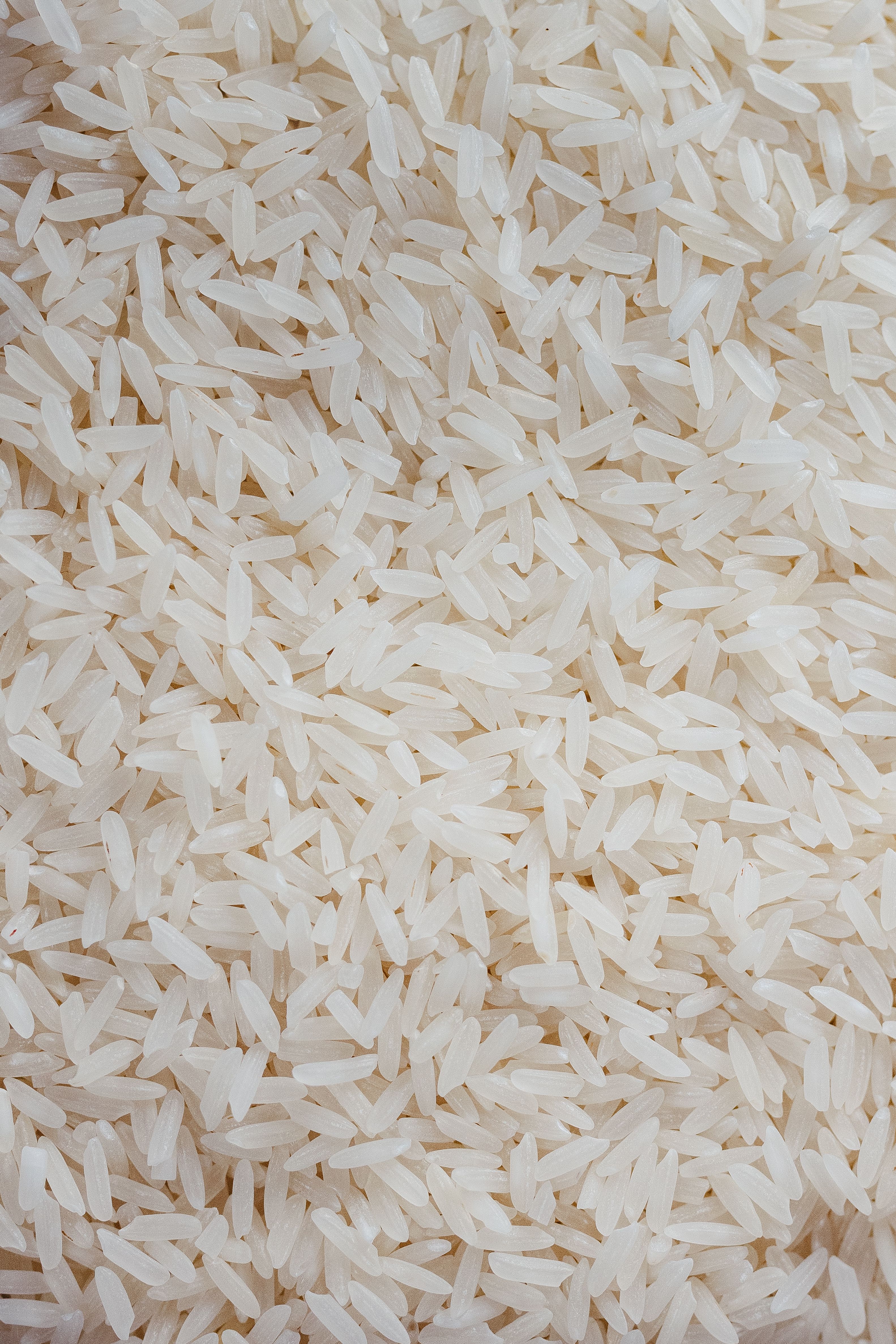 Close-up of Uncooked White Rice Grains · Free Stock Photo