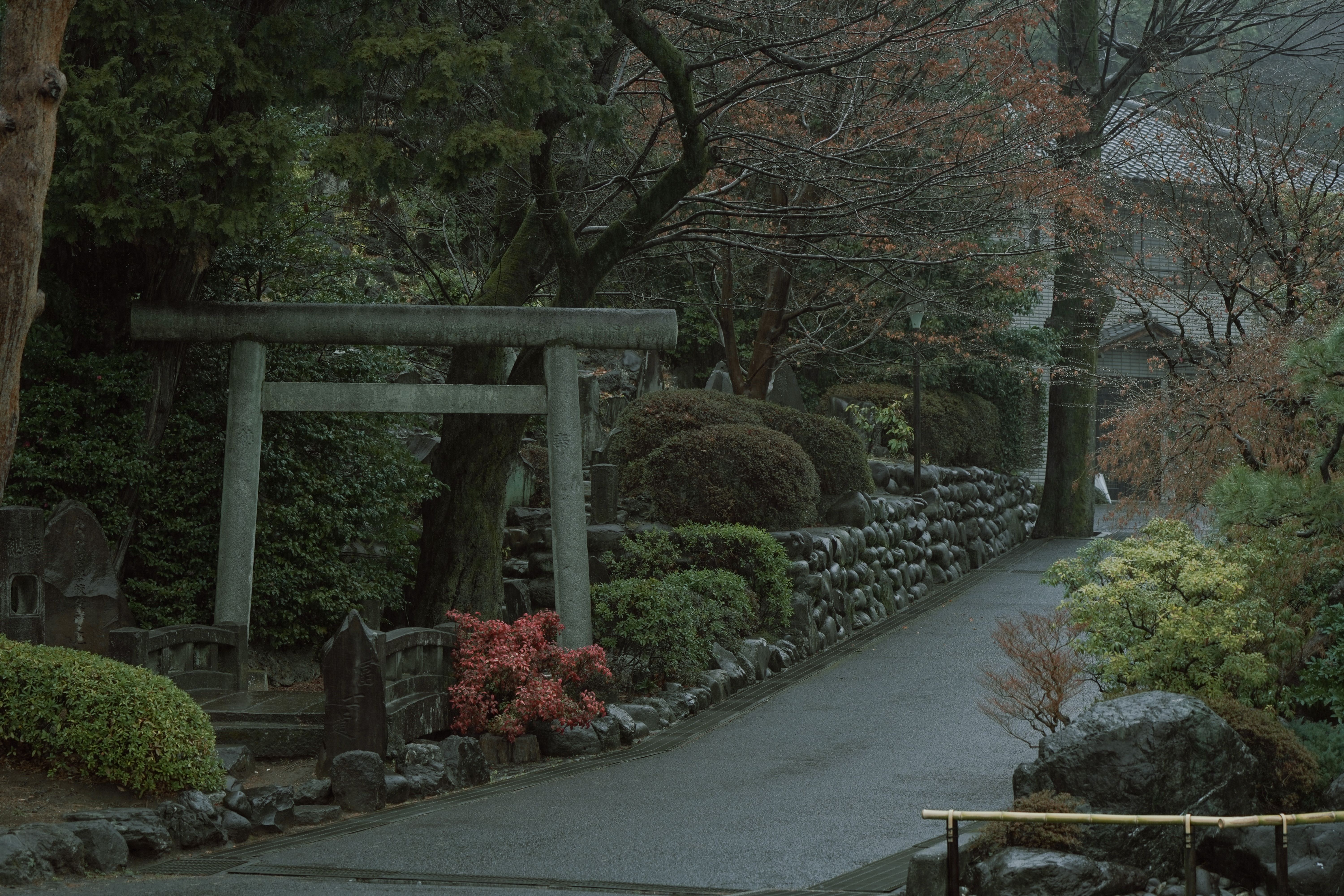 Serene Pathway with Torii Gate in Tokyo Garden · Free Stock Photo