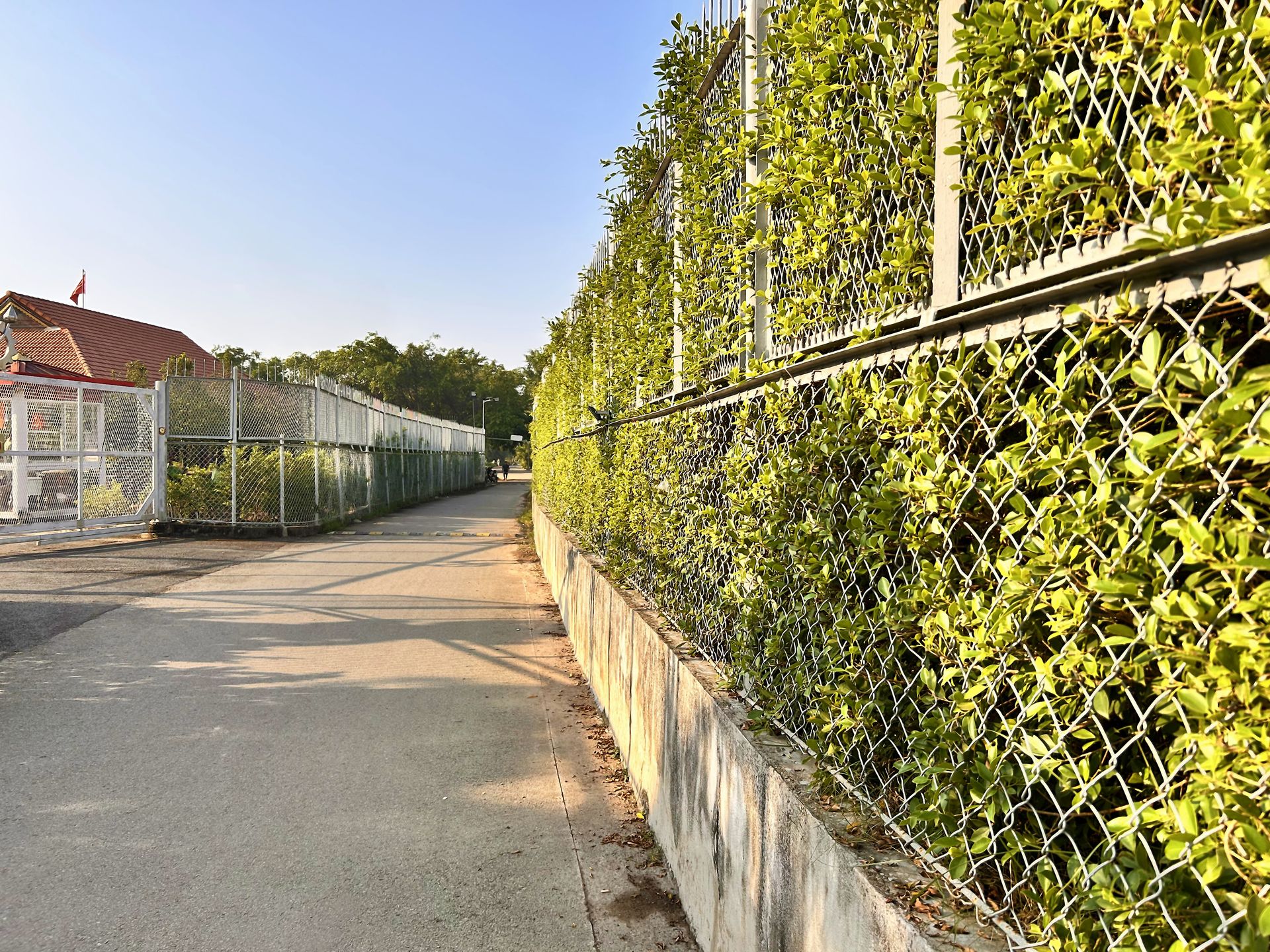 School perimeter with security fencing