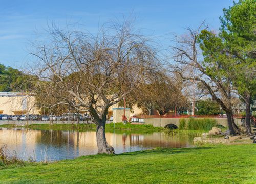 Free Serene park with a pond and stone bridge under a clear blue sky. Stock Photo