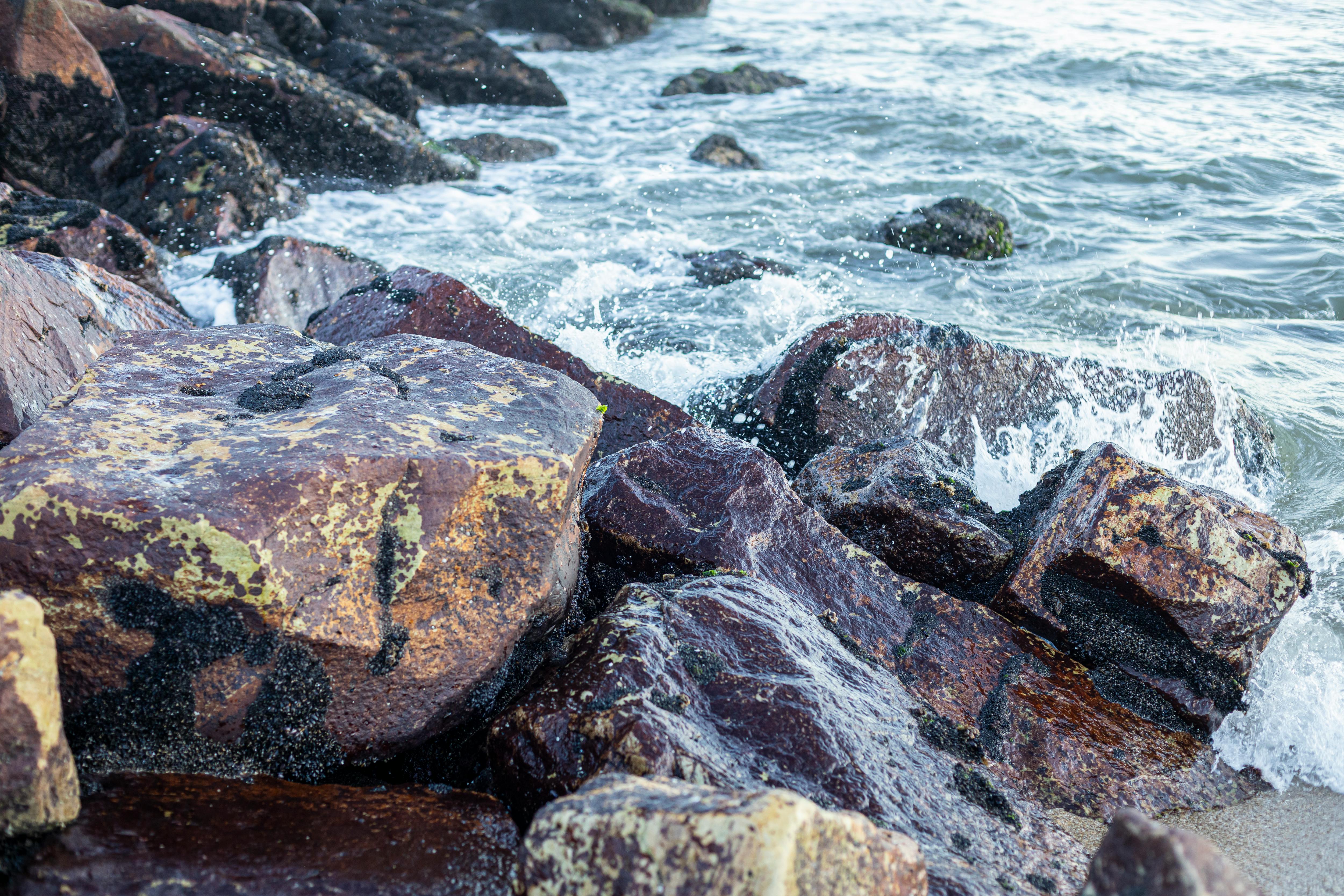 бесплатная Волны, разбивающиеся о скалистые берега пляжа в Мирамаре, запечатлевают природную красоту. Стоковое фото