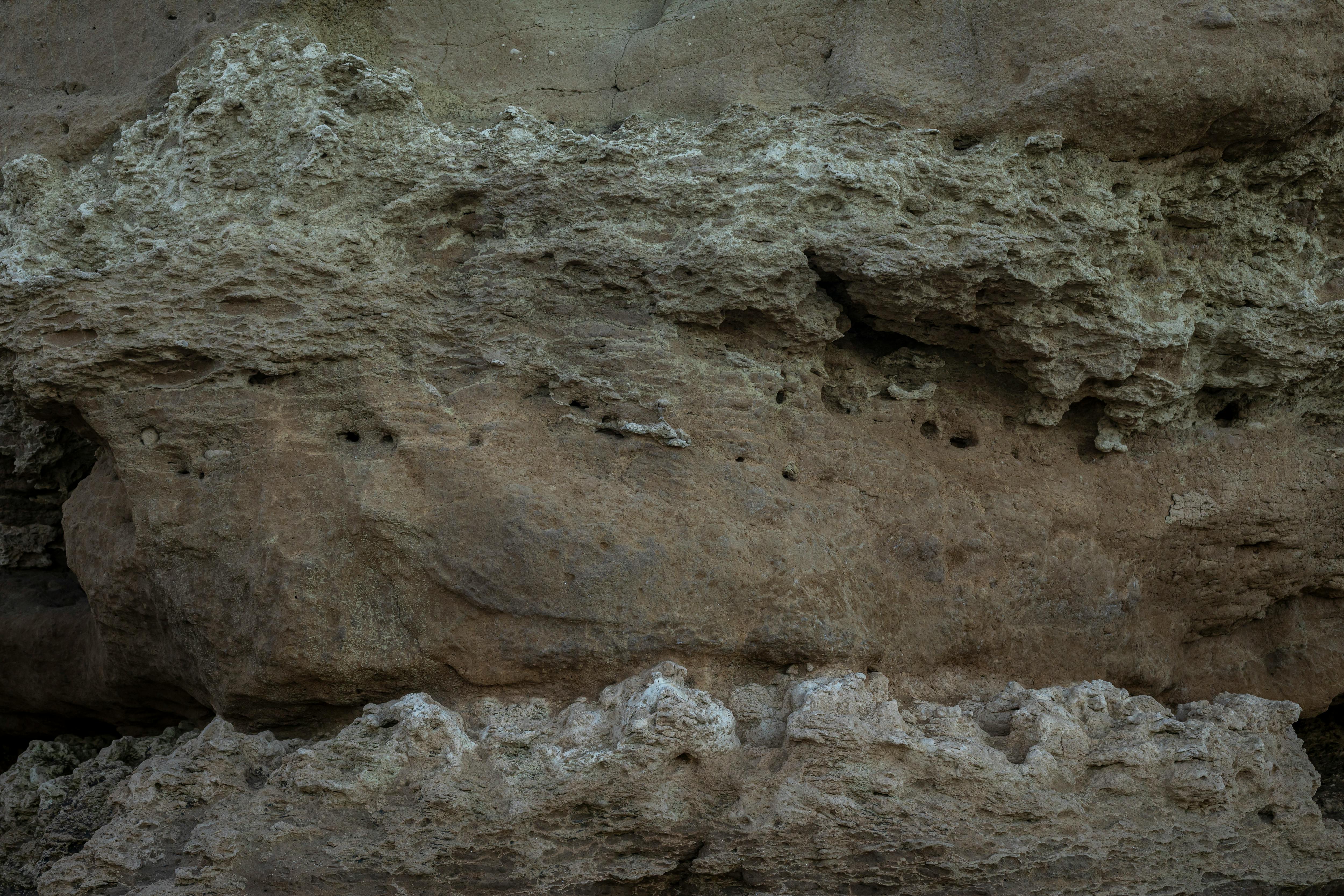 Free Close-up of a textured rocky cliff face in Miramar, Buenos Aires, Argentina. Stock Photo