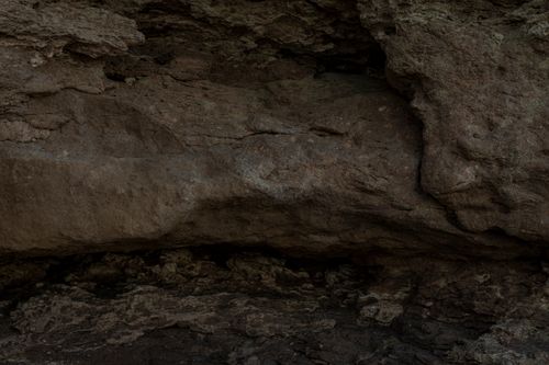 Free Close-up of a textured rock formation in Miramar, Argentina, showcasing natural textures. Stock Photo