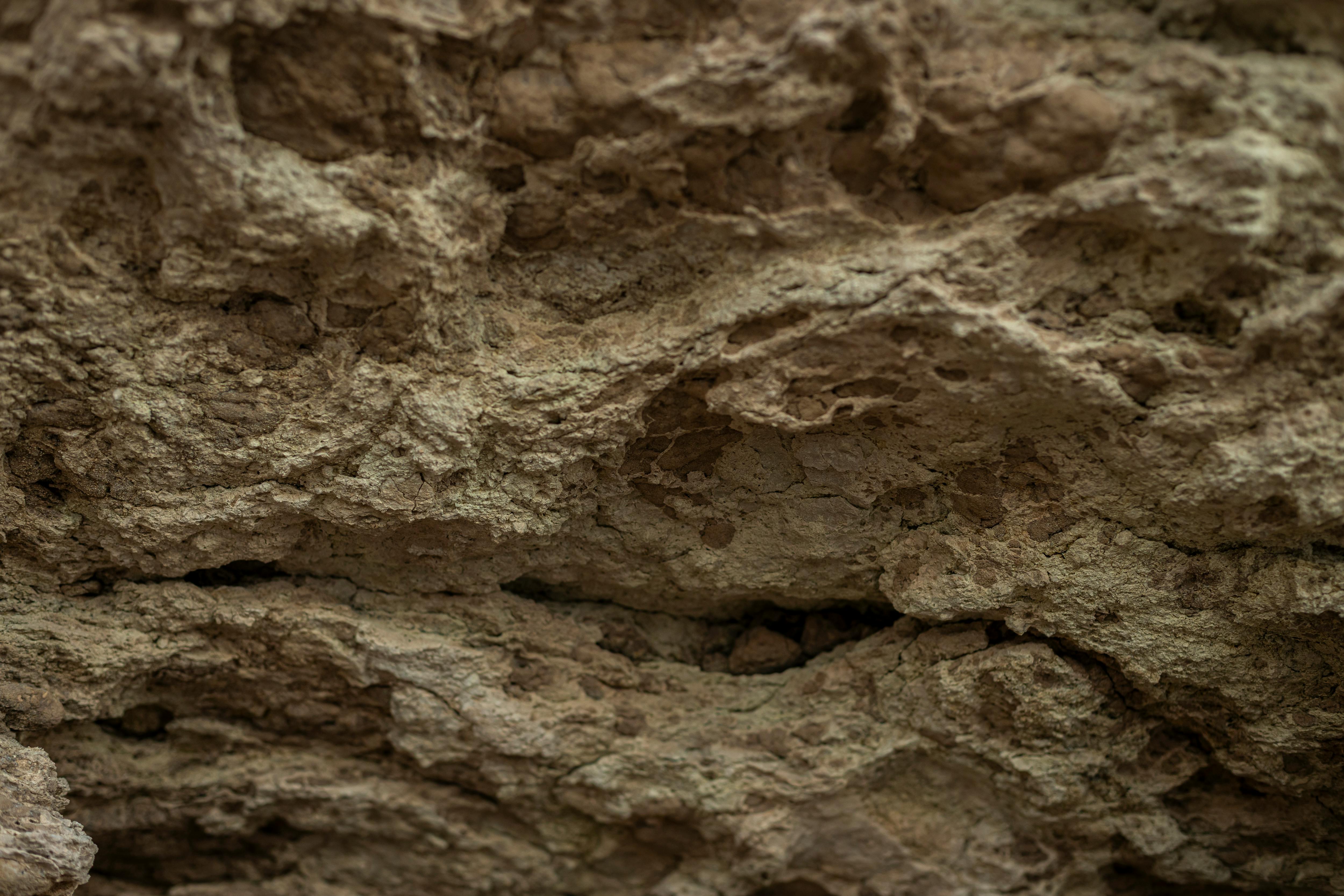 бесплатная Крупный план фактурной поверхности скалы в Мирамаре, Буэнос-Айрес, Аргентина. Стоковое фото