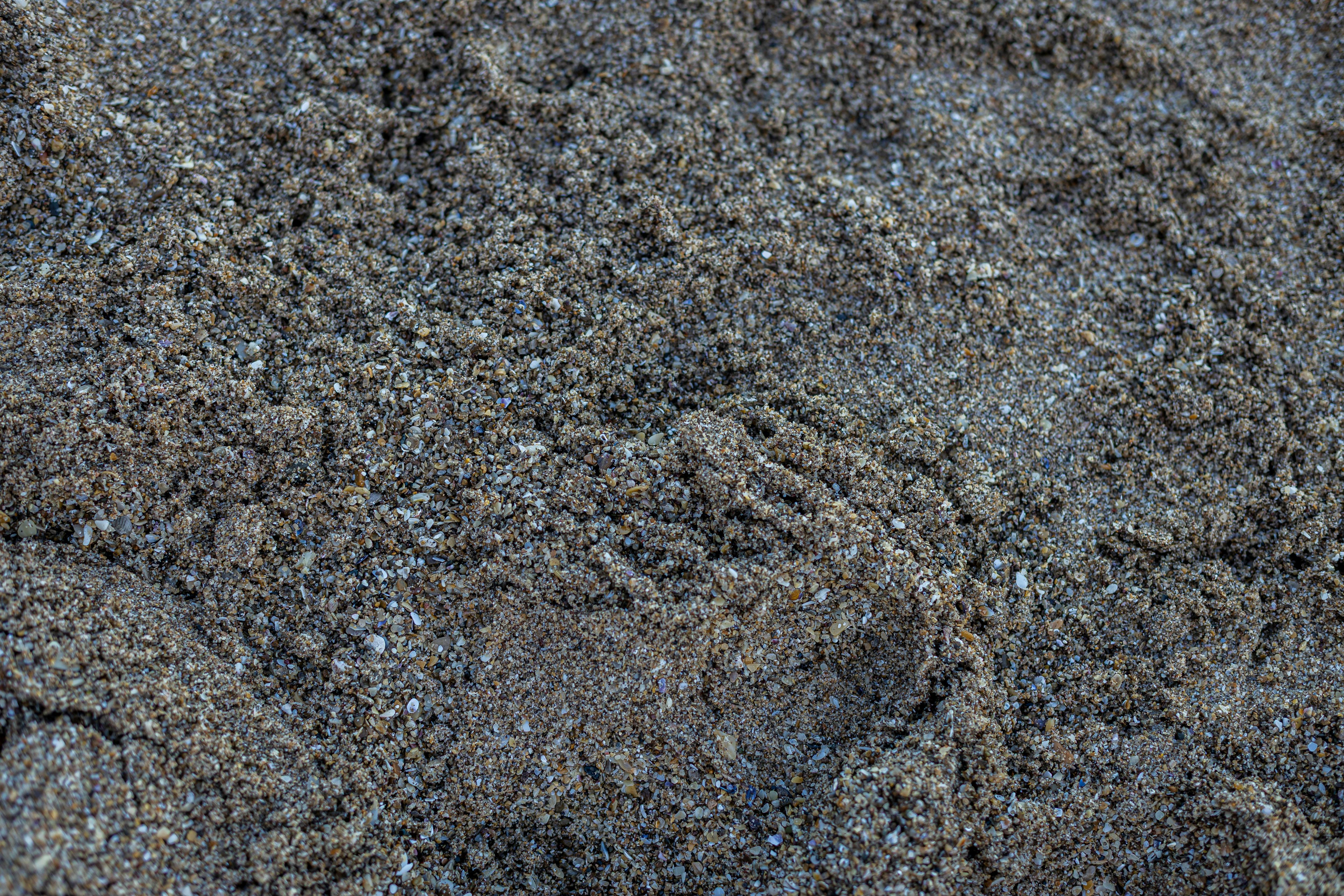 Free stock photo of atlantic coast, buenos aires, challenges Stock Photo