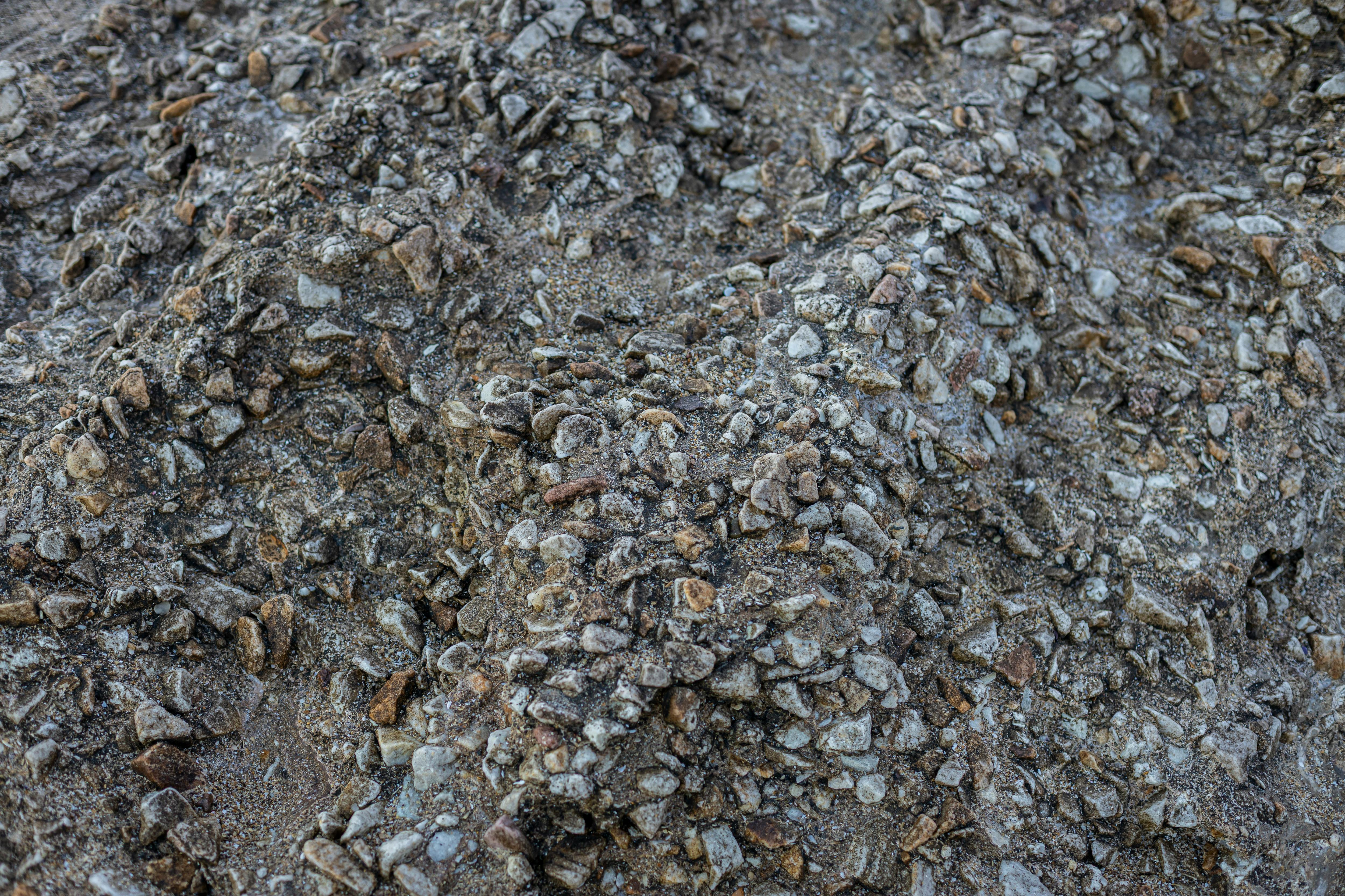 Ücretsiz açık hava, Arjantin, atlantik kıyısı içeren Ücretsiz stok fotoğraf Stok Fotoğraflar