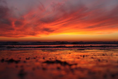 + ảnh đẹp nhất về Bãi Biển Hoàng Hôn · Tải xuống miễn phí 100% · Ảnh  có sẵn của Pexels