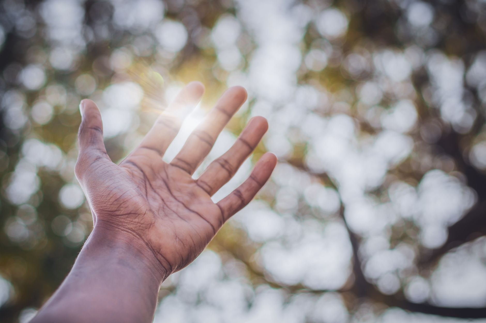 A human hand reaching towards the sky with a bright bokeh background through the trees.