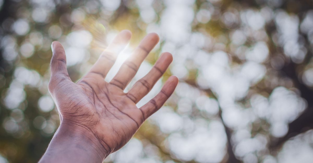 Person's Hand · Free Stock Photo