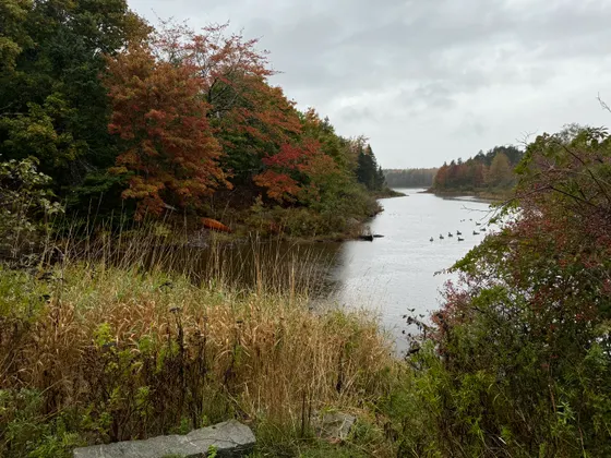 The West Branch Penobscot River at Abol Bridge