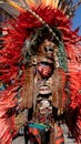 Vibrant Traditional Costume at Hidalgo Carnival
