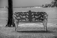 Black and White Scenic View of Lake Bench